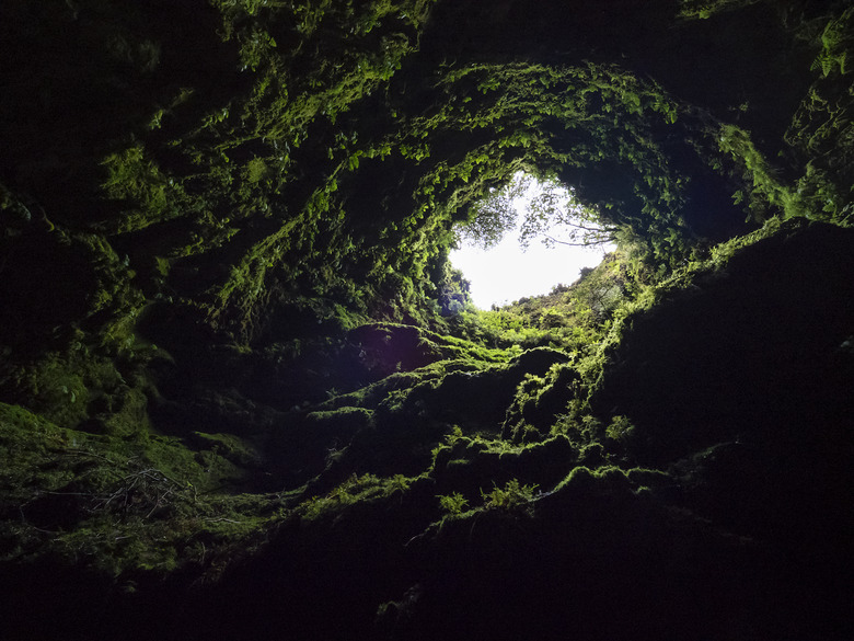 Volcanic cavern, view from inside a large cave-shaped well in a humid forest.