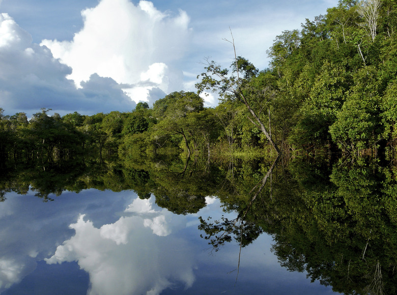 Amazon river, Brazil