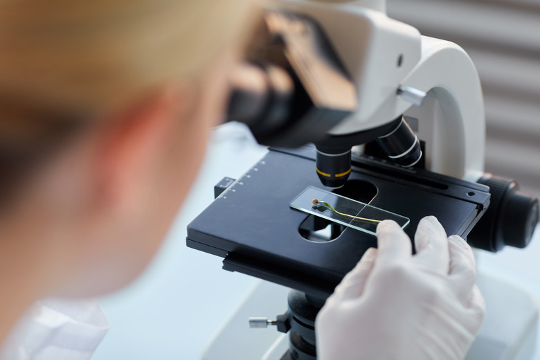 Woman Looking in Microscope Close Up