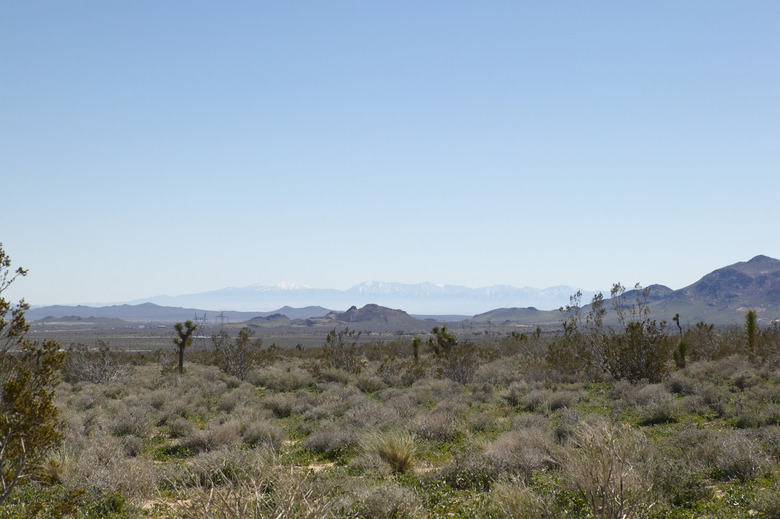 Joshua Tree National Park in California