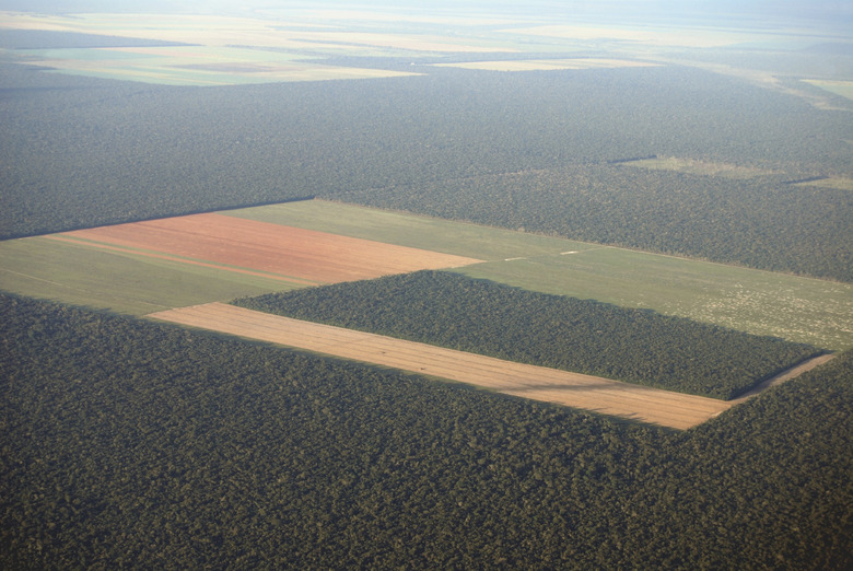 Amazon deforestation from the air