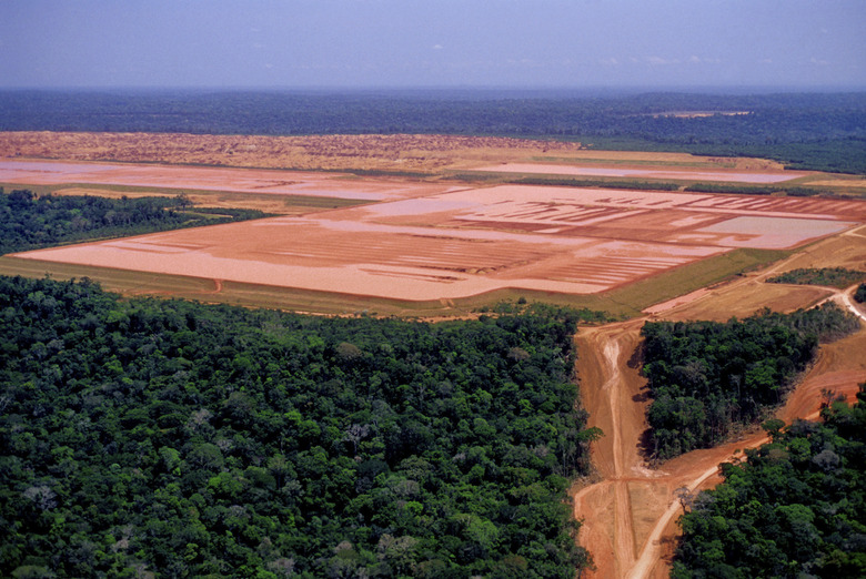 Industry in the Amazon