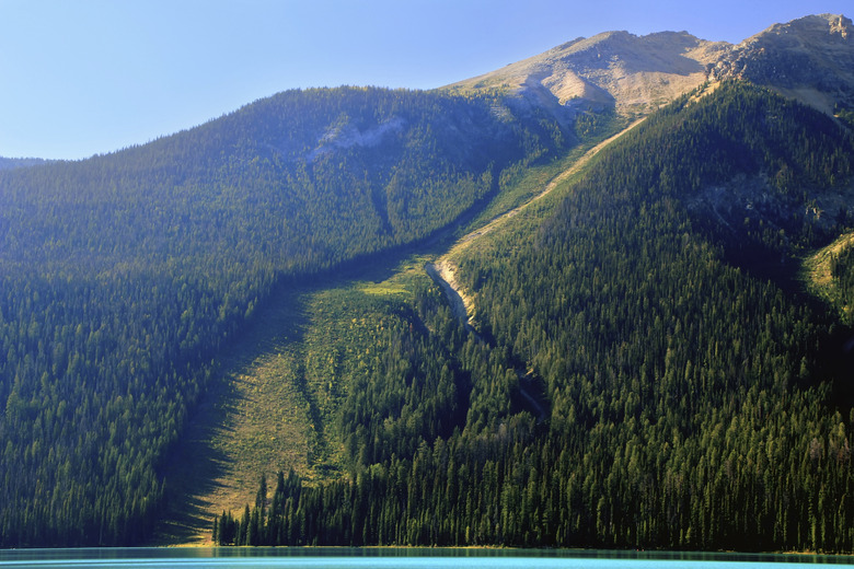 Avalanche path at Emerald Lake, Yoho National Park, Canada