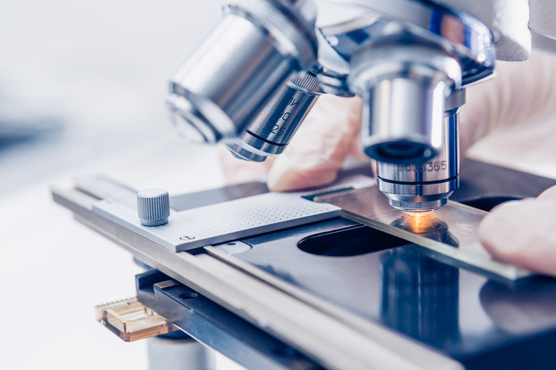 Scientist hands with microscope