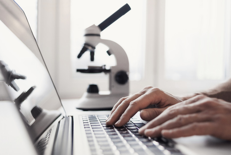 Place of work, scientist using laptop computer