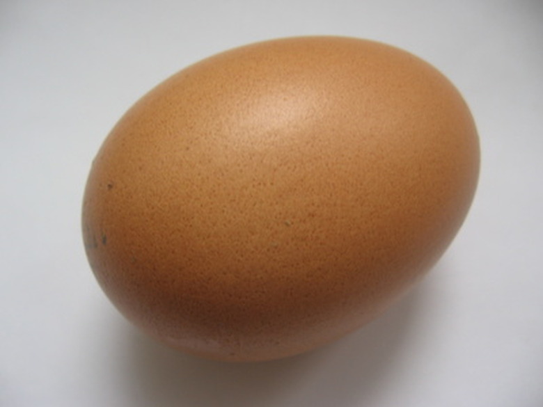 Egg