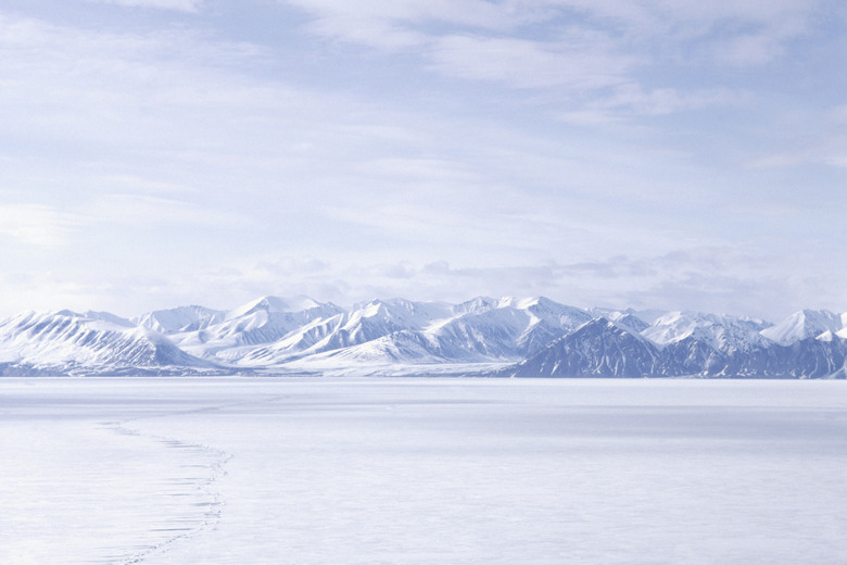 Bylot Island, NWT, Canada