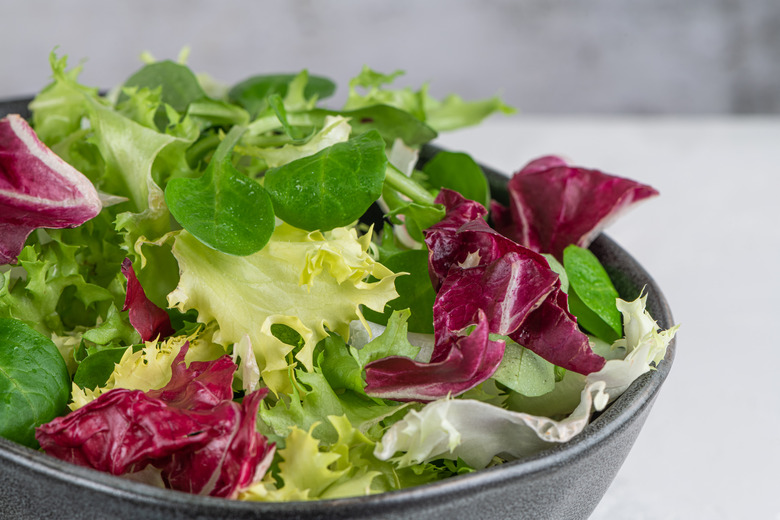 Salad mix leaves background. Fresh salad pattern with rucola, purple lettuce, spinach, frisee and chard leaf