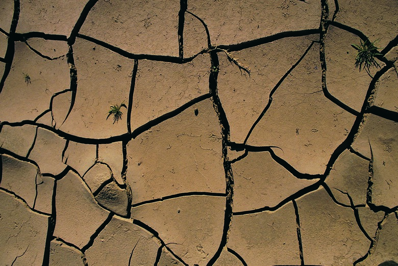 Parched mud, Orange River floodplain, South Africa