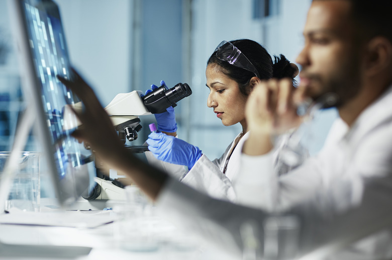 Scientist Working on Computer In  Modern Laboratory