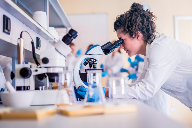 Scientists in laboratory working on research