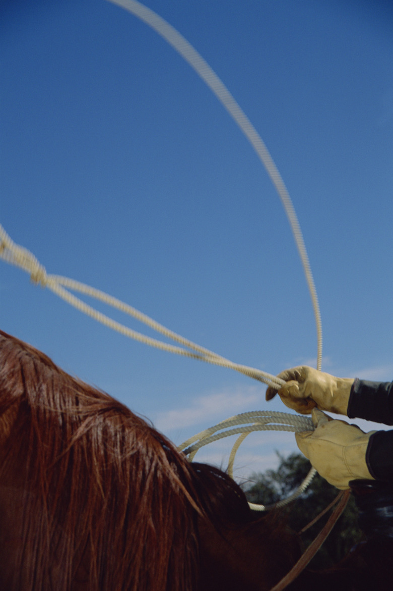 Cowboy throwing lasso