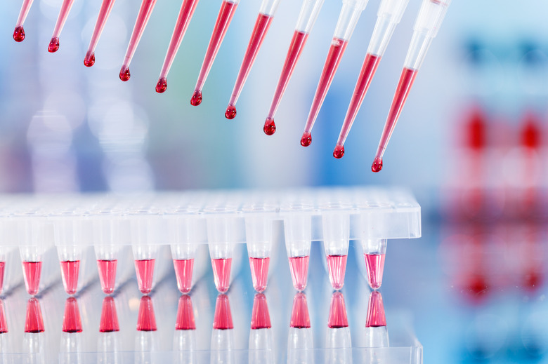 Taq Polymerase in PCR