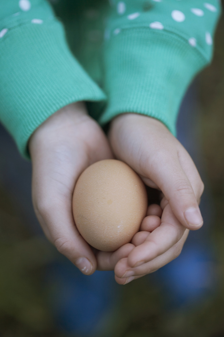 Girl (6-7) holding egg, close-up of hands