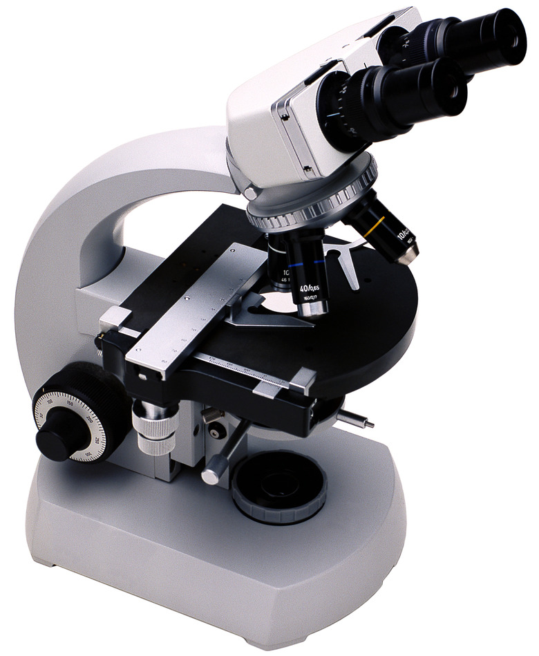 Binocular microscope