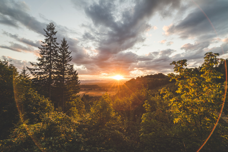 Beautiful Forest and Valley Sunset