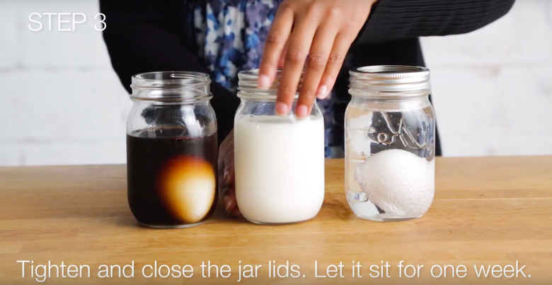 A Science Fair Project on Tooth Decay