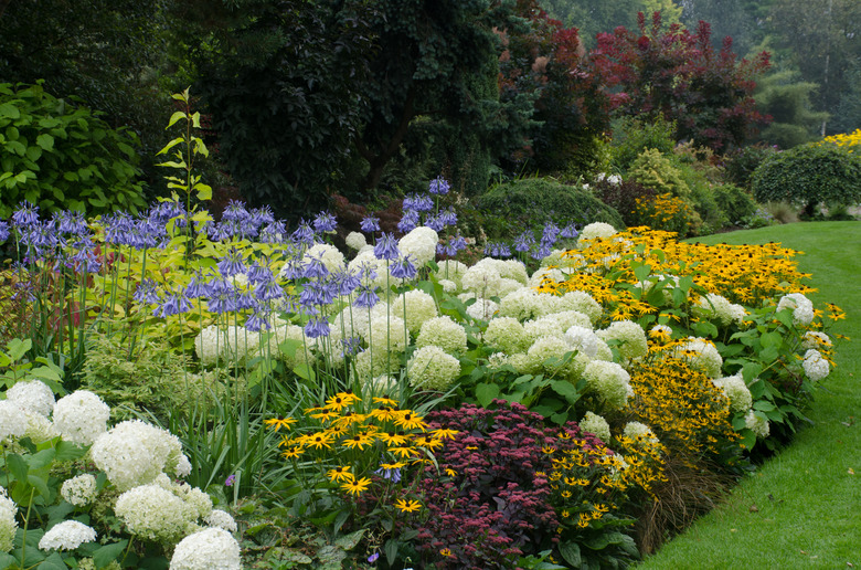 English perennial border