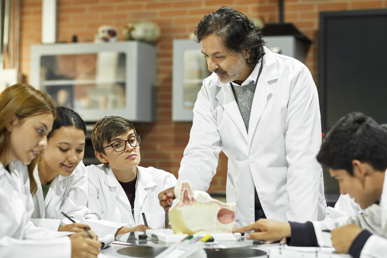 Teacher explaining animal anatomy to students