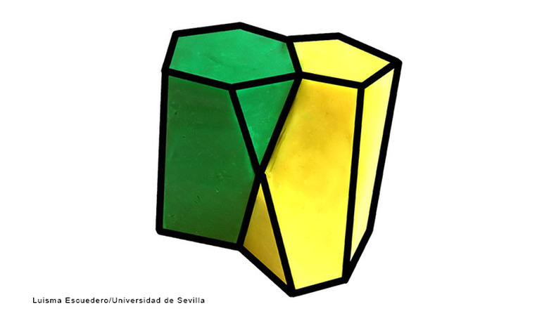 scutoid