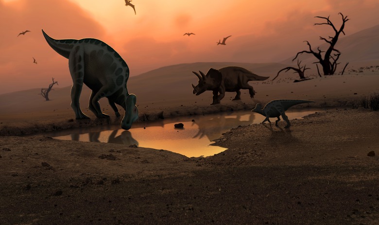 Dinosaurs at a watering hole, illustration