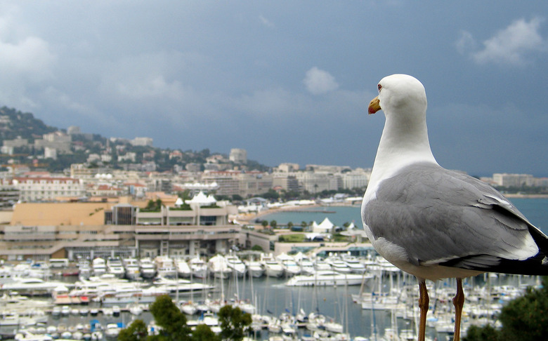 58th Annual Cannes Film Festival - Around Cannes