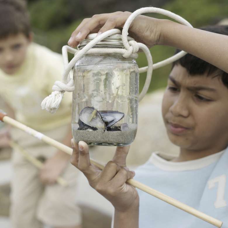 Two boys (10-12) on beach, one holding oysters in jar (focus on foreground)