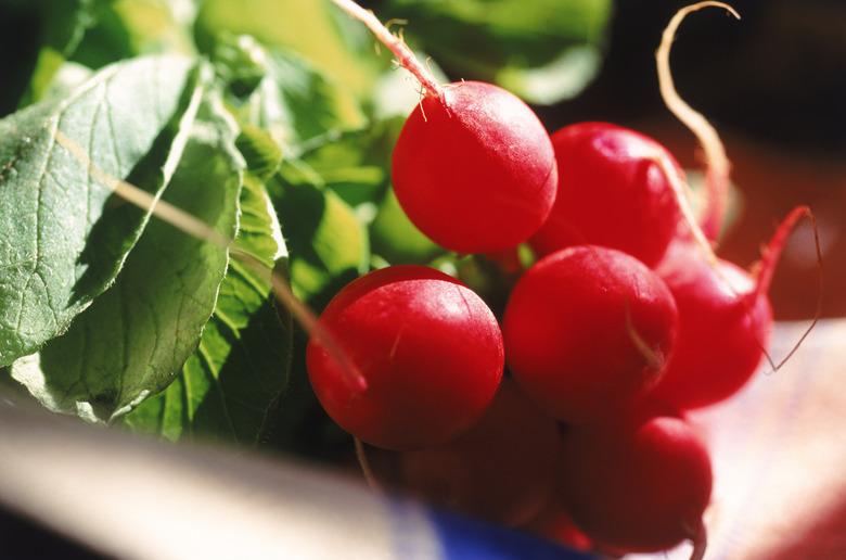 Bunch of red radish, close-up