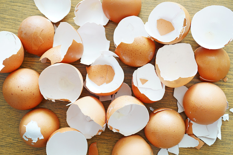 What Are the Similarities between Eggshells and Teeth?