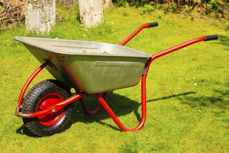 Gardening. Garden metal wheelbarrow.