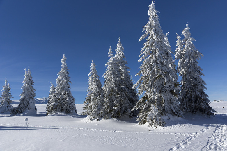 Winter view of Vitosha Mountain, Bulgaria