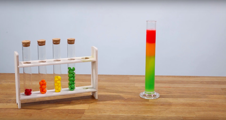 Skittles density science project