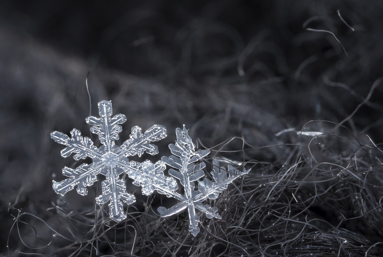 Snowflakes closeup