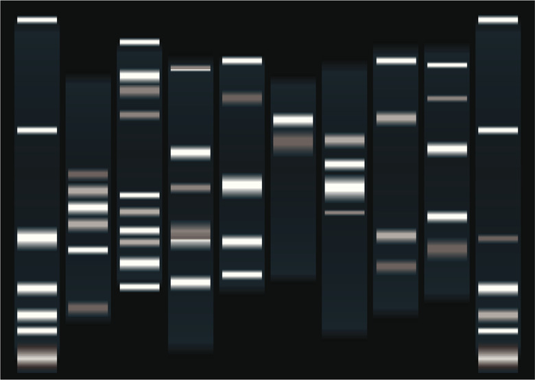 dna medical illustration with indicator marks and black background