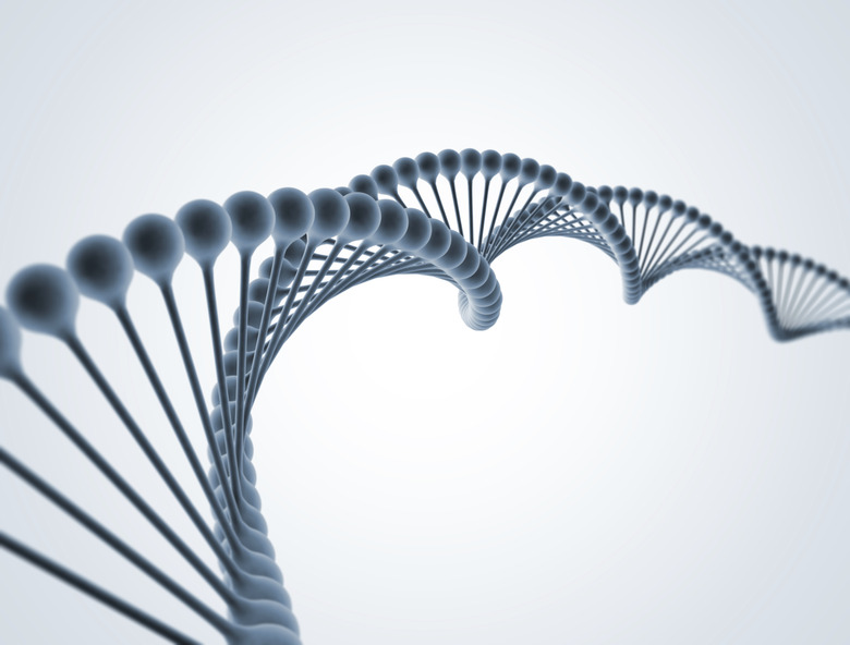 DNA Double Helix Molecular Structure