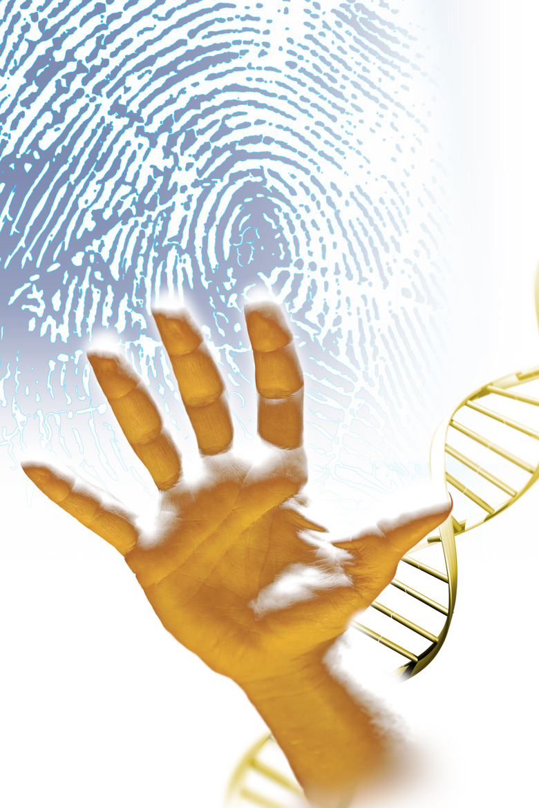 Hand , fingerprint and DNA helix