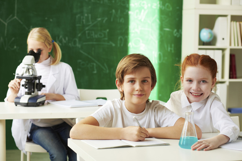 Schoolchildren at lesson