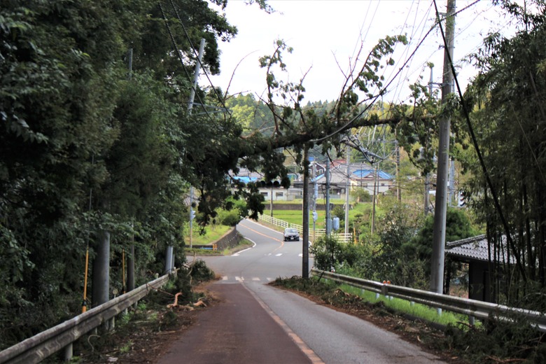 Tail marks of Typhoon No. 15 in 2019