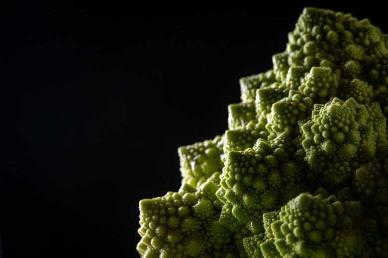 Romanesco broccoli (Roman cauliflower) macro still life