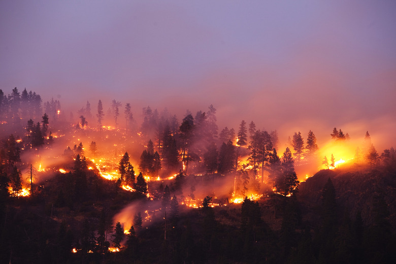 A forrest fire burning the side of a mountain in Montana.