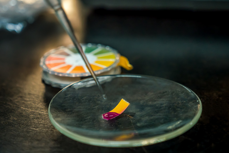 close-up of a litmus paper