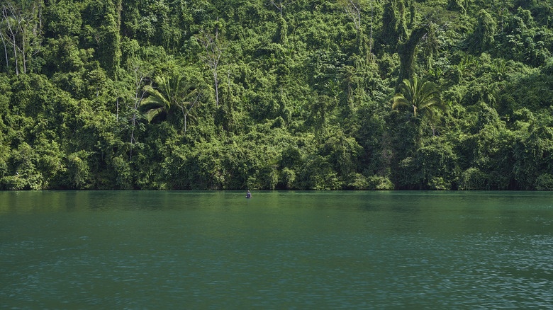 Emerald green water in Canyon of Río Dulce, Guatemala