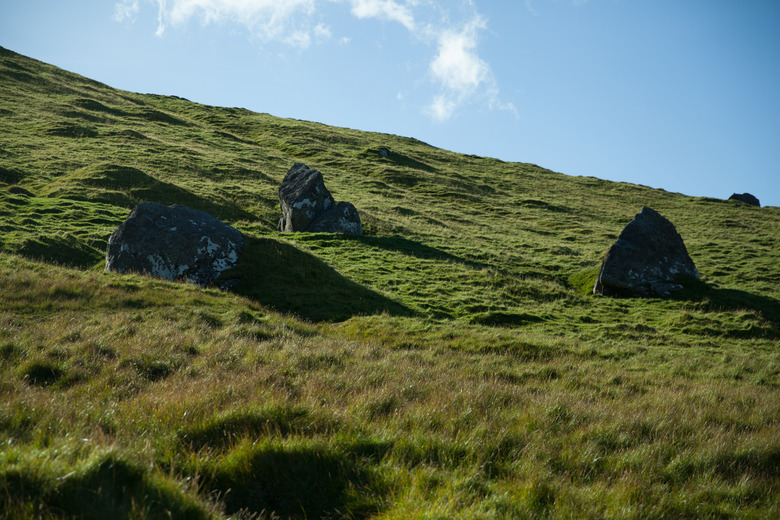 Green grass and blue sky