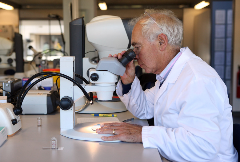 Kew Millennium Seed Bank Project Holds 10% Of World's Wild Plant Species