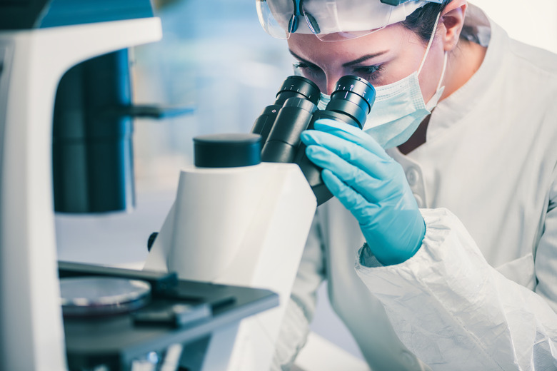 Microbiology, laboratory technician observing bacteria strains