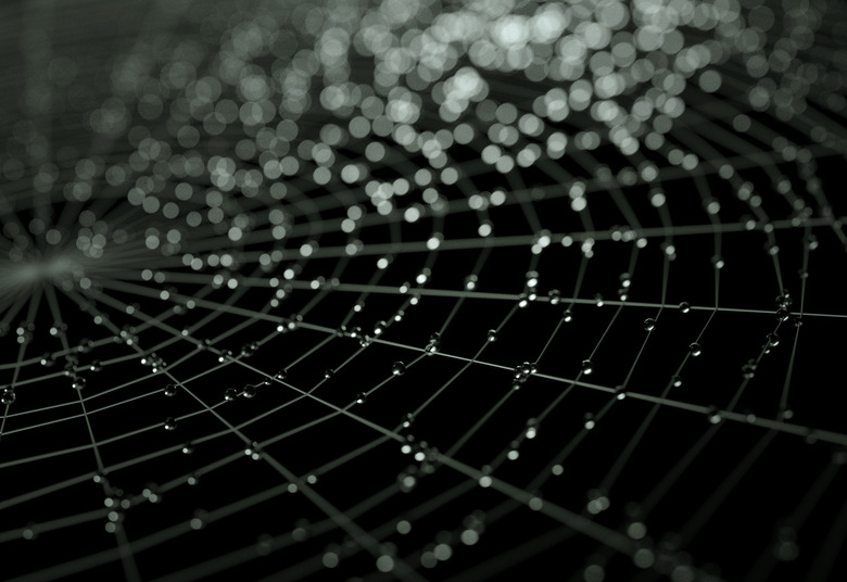 Cobweb with dew drops