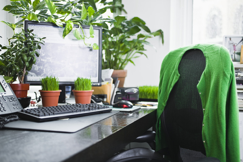 Desk with Plants