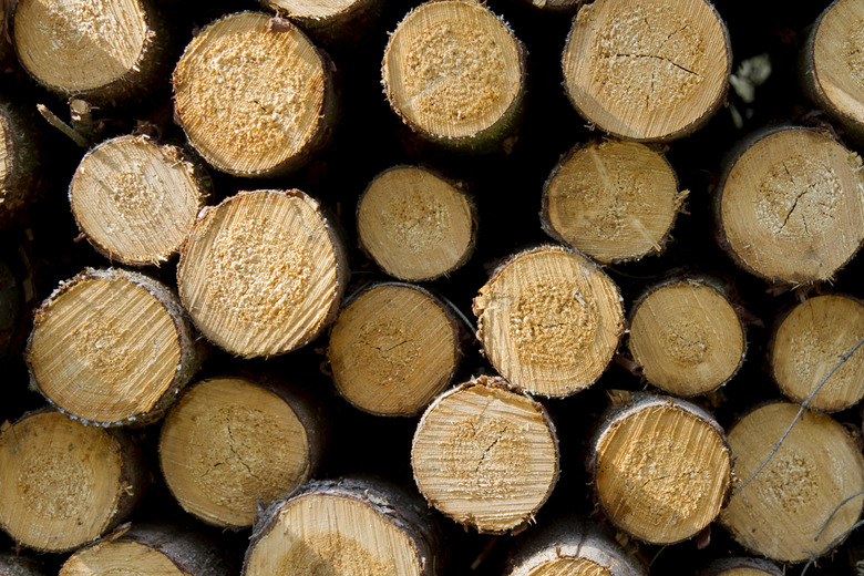 stack of logs