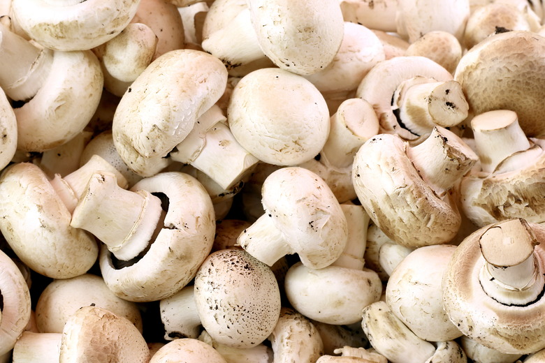 Heap of champignon close-up.