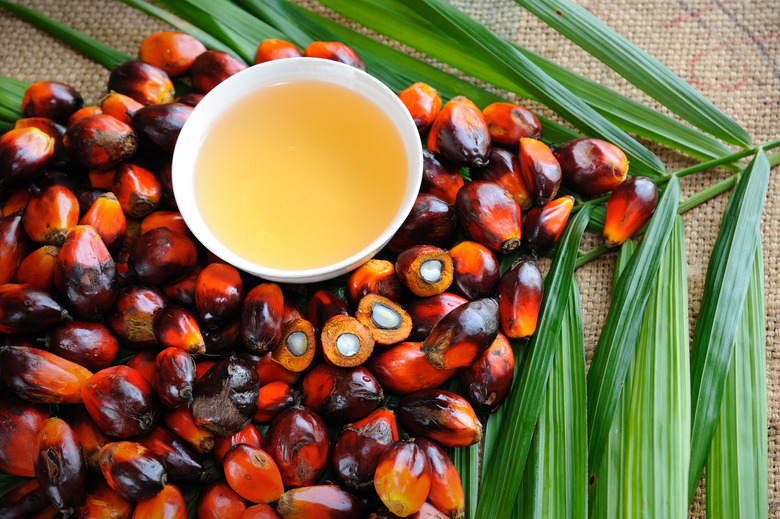 Oil palm fruits with palm cooking oil